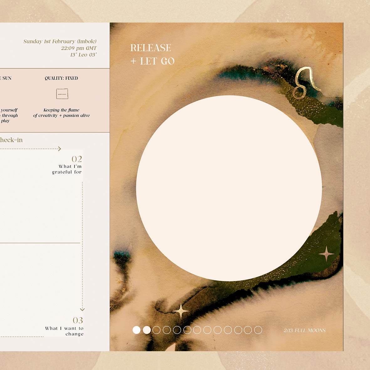 MOON DIARY 2026 ( USA ONLY)